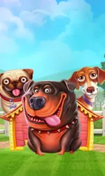 The Dog House
